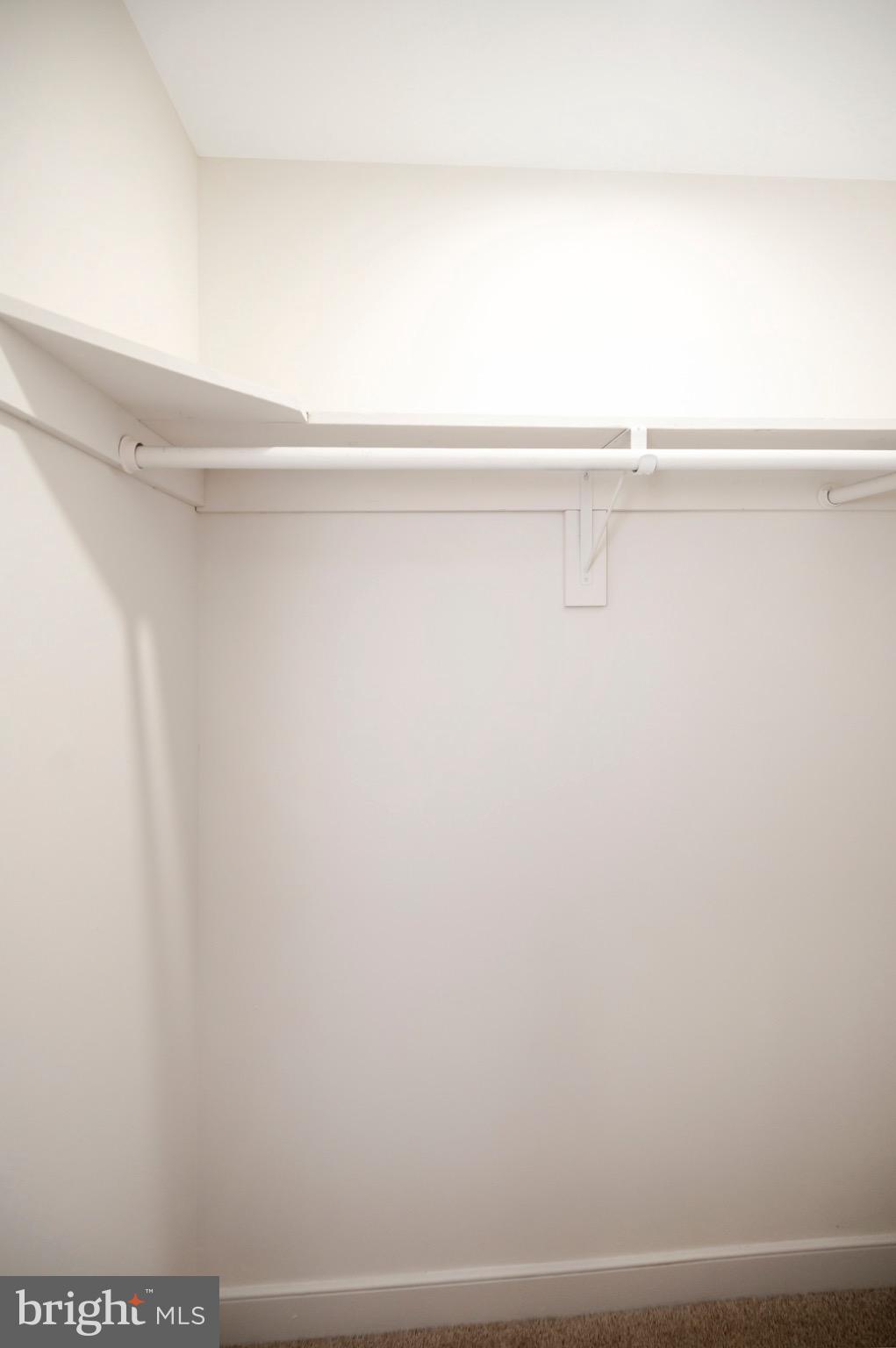 223 Spotswood Road Locust Grove, VA 22508 - Photo 35 of 64 Spacious closet ready for organization.