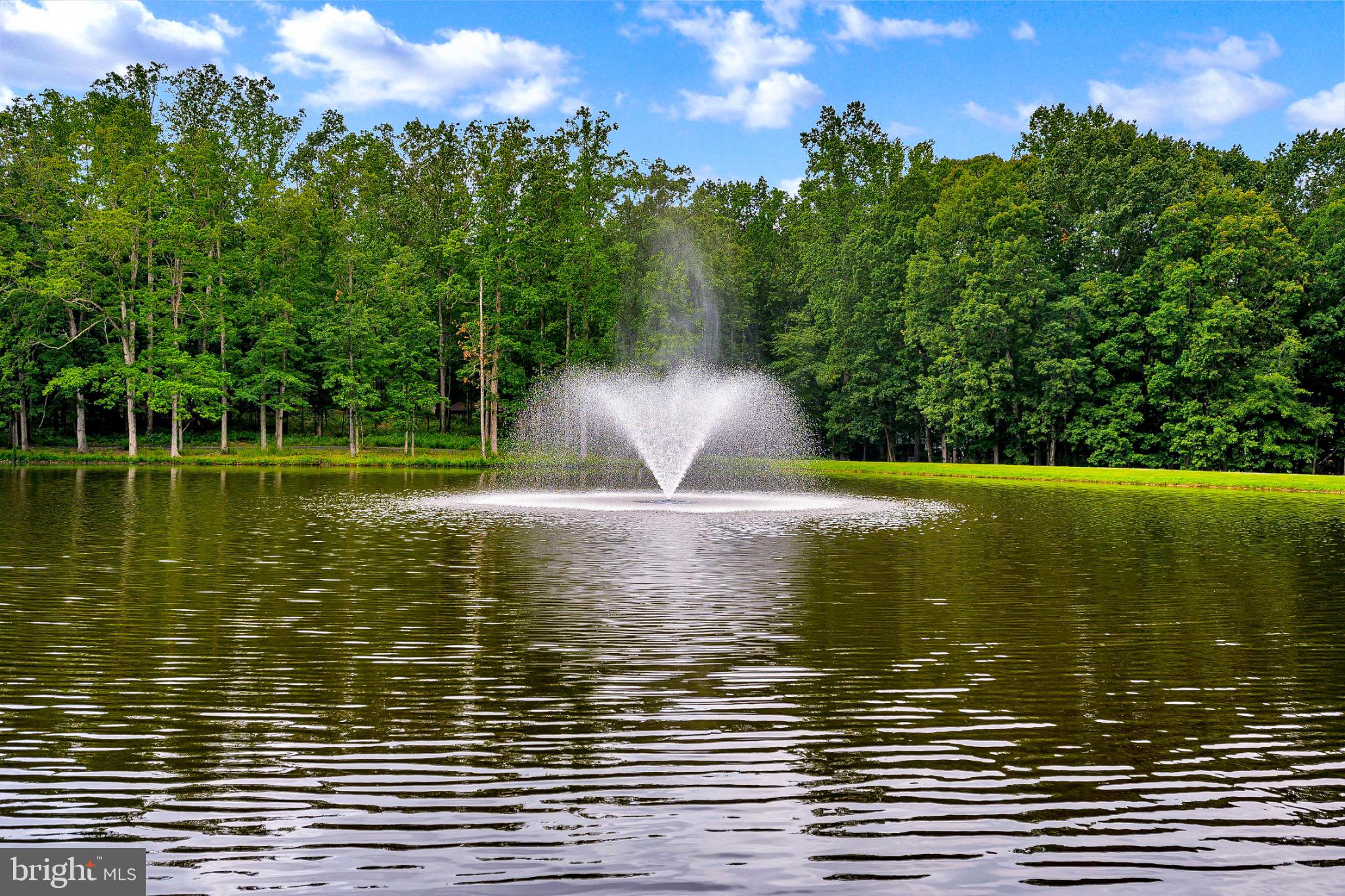 223 Spotswood Road Locust Grove, VA 22508 - Photo 56 of 64 Tranquil pond with a stunning fountain.