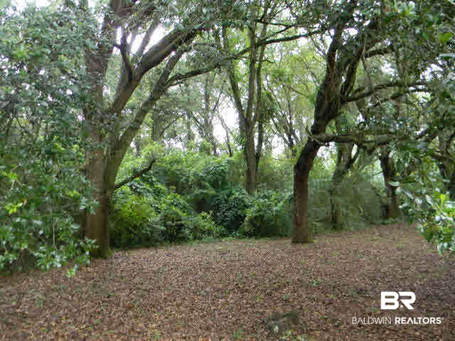 17101 Devine Road Loxley, AL 36551 - Photo 24 of 26 Land with beautiful oak trees