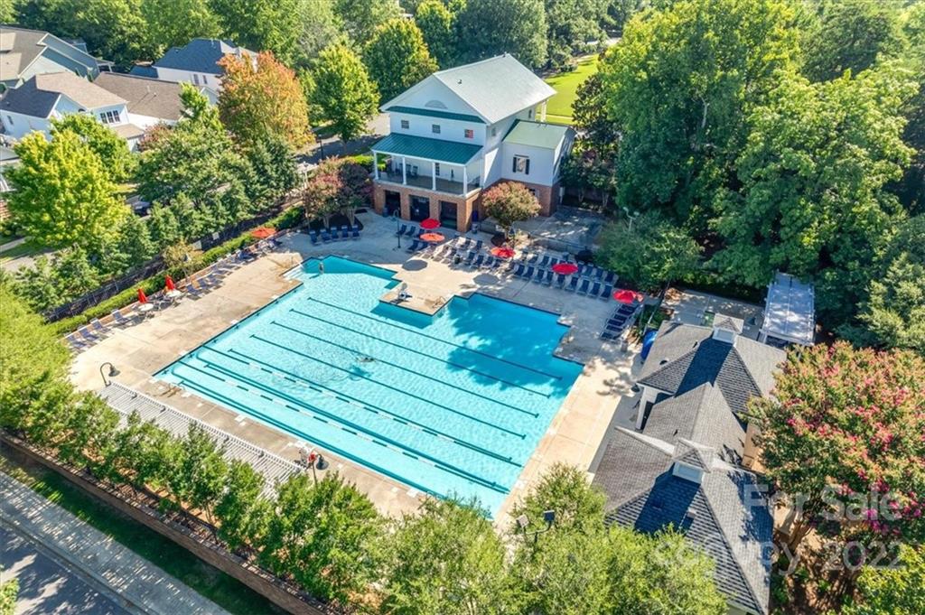 927 Lyndley Drive Fort Mill, SC 29708 - Photo 31 of 48 an outdoor view of the house with swimming pool and lounge chairs