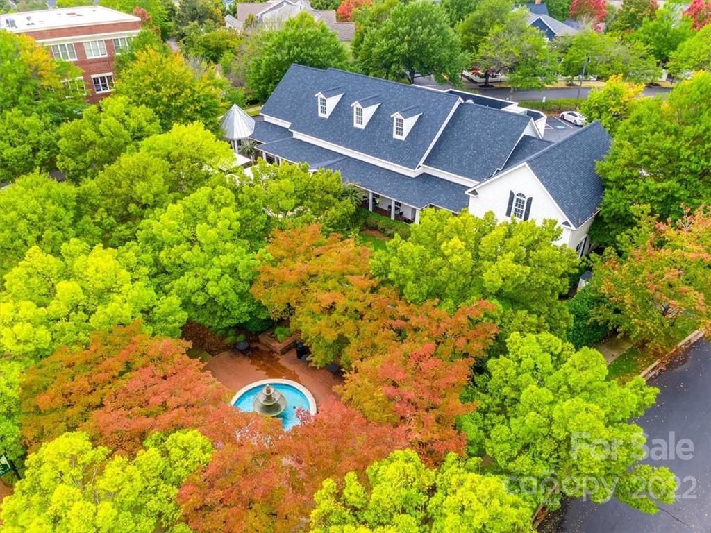 927 Lyndley Drive Fort Mill, SC 29708 - Photo 42 of 48 a view of a garden with plants