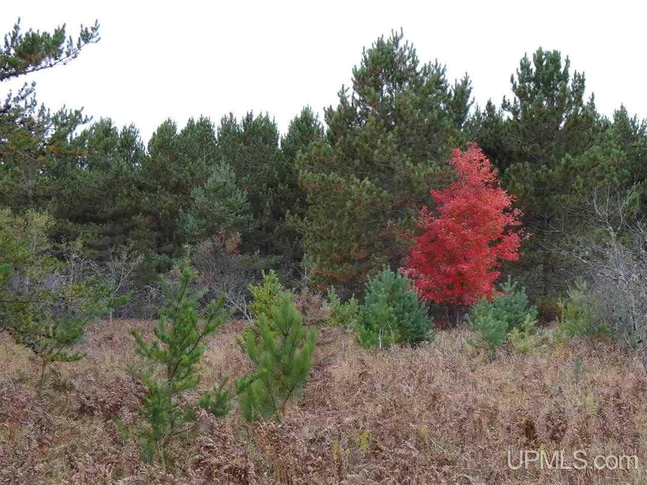 Tbd Traprock Valley Road Calumet, MI 49913 - Photo 1 of 17