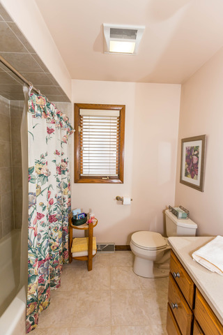 809 Overlook Drive Frankfort, IL 60423 - Photo 16 of 24 a bathroom with a sink toilet and shower