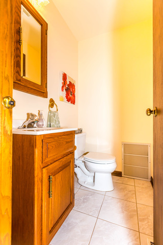 809 Overlook Drive Frankfort, IL 60423 - Photo 19 of 24 a bathroom with a sink a toilet and mirror