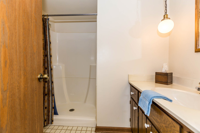 809 Overlook Drive Frankfort, IL 60423 - Photo 21 of 24 a bathroom with a shower