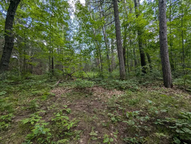 $27,100 | Lot 3 Fosmo, Webster, WI 54893