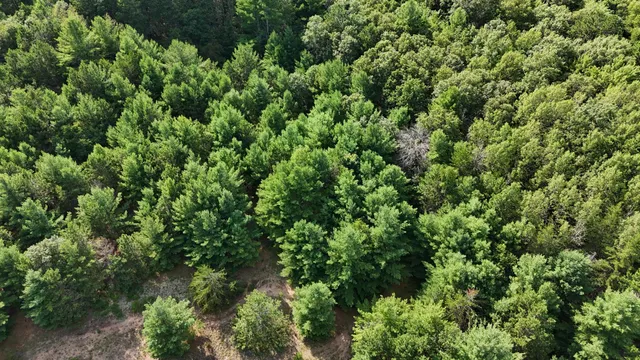 $27,100 | Lot 3 Fosmo, Webster, WI 54893