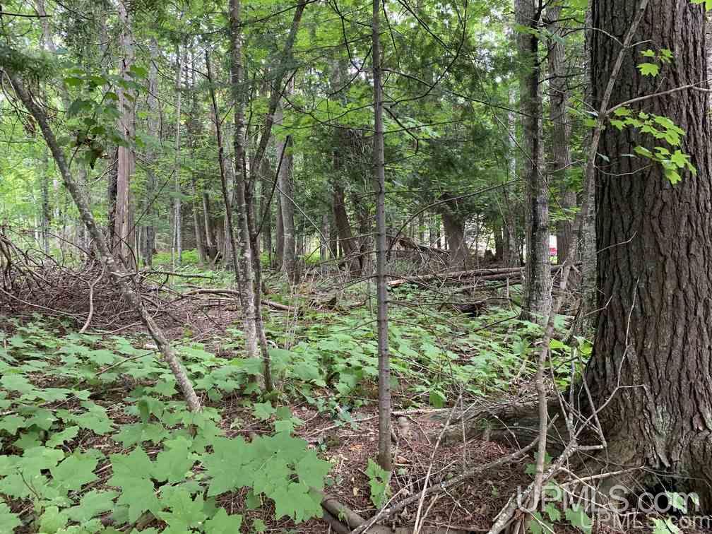 Lot 1 Bayview Road Lanse, MI 49946 - Photo 11 of 27