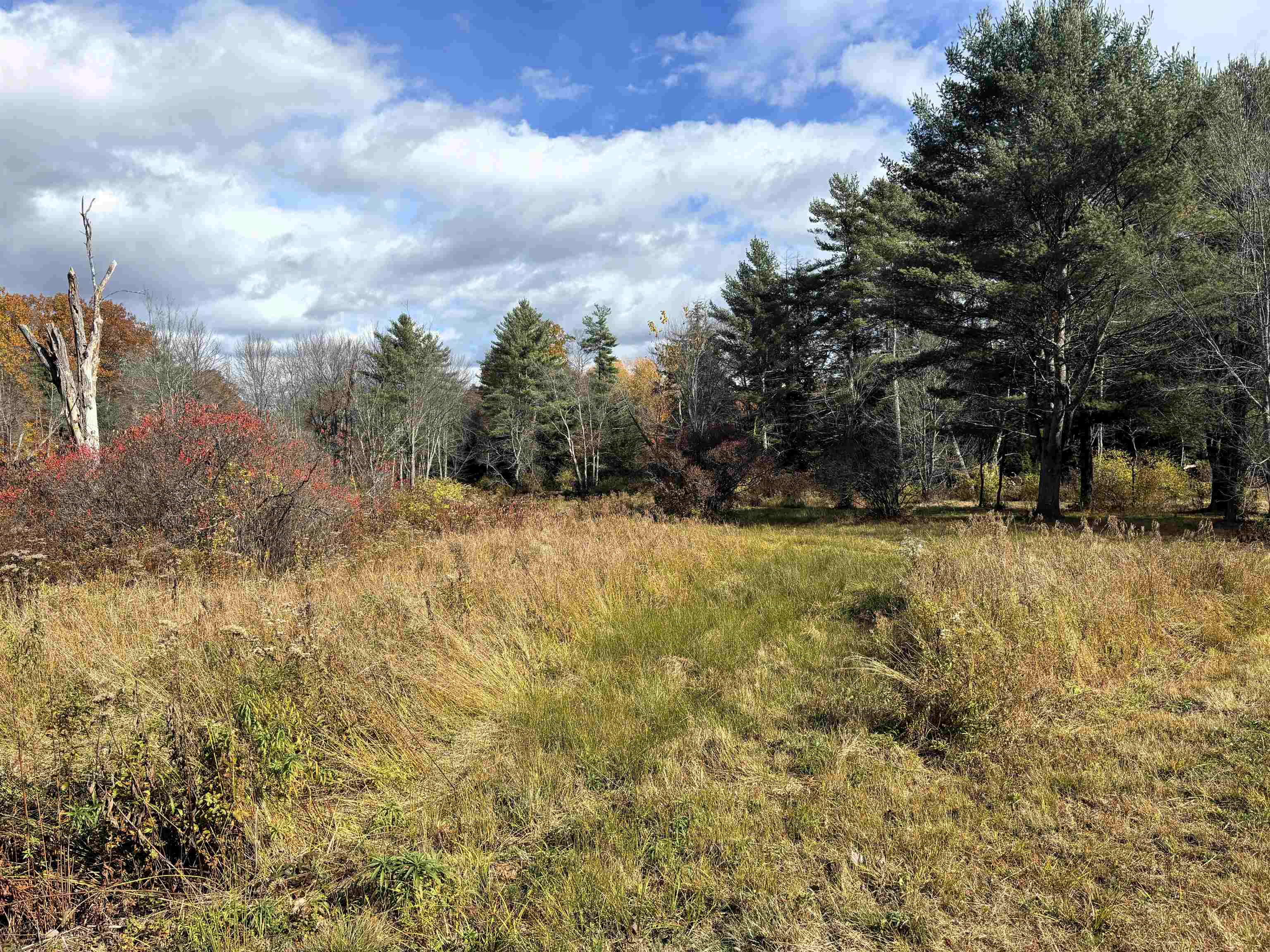 Lot 8 Stonebridge Road Wilmot, NH 03287 - Photo 24 of 31