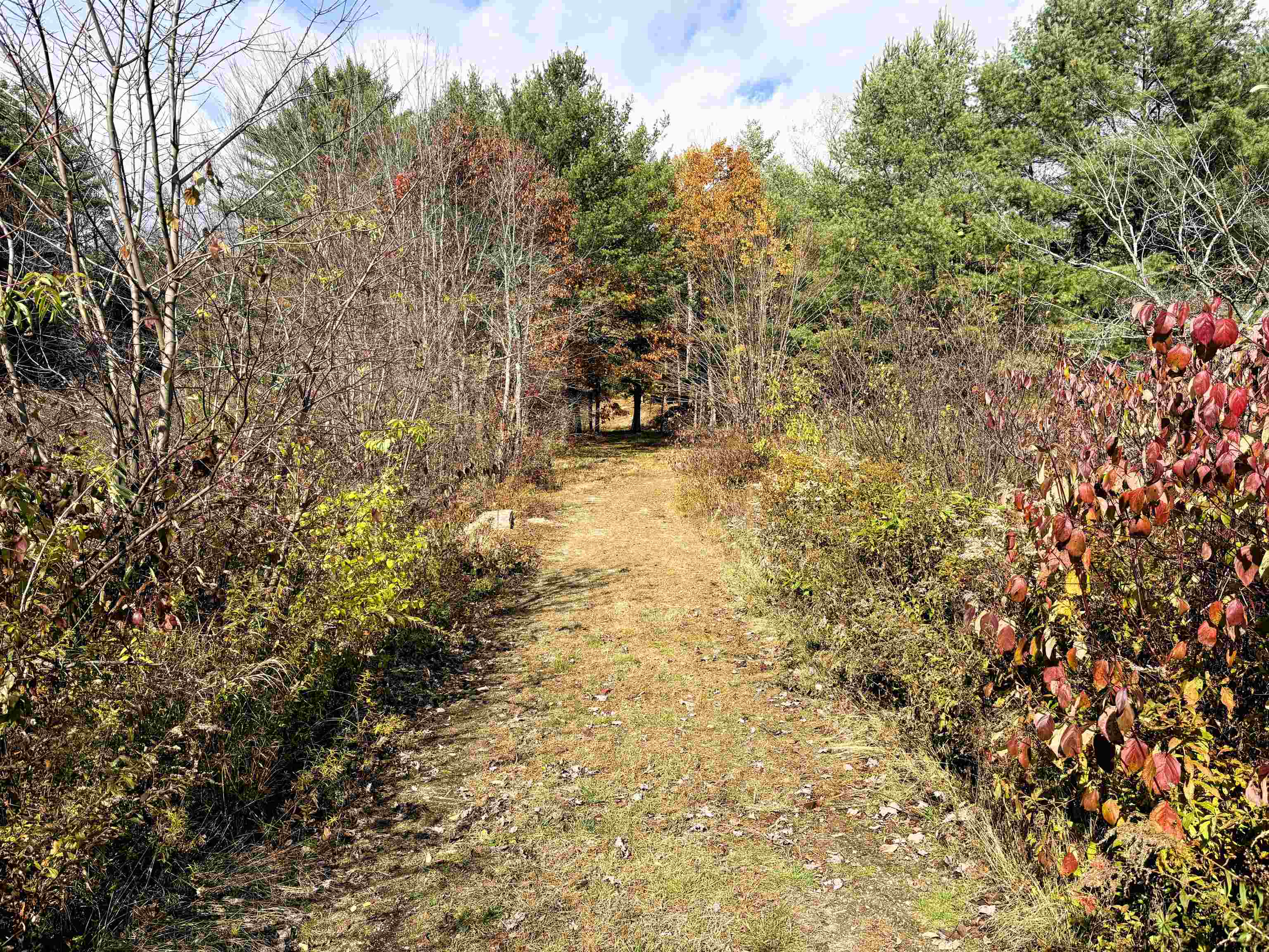 Lot 8 Stonebridge Road Wilmot, NH 03287 - Photo 25 of 31
