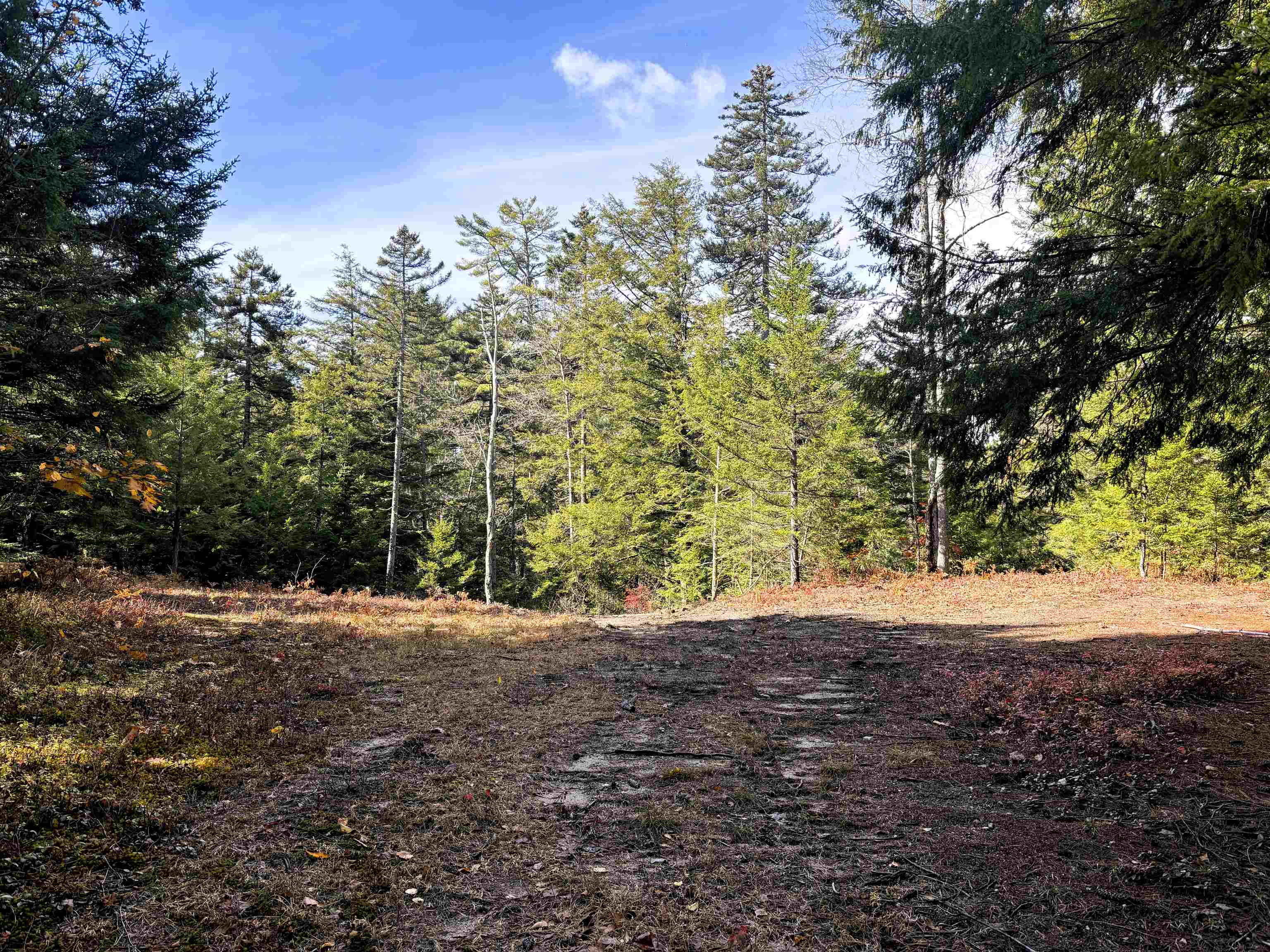 Lot 8 Stonebridge Road Wilmot, NH 03287 - Photo 27 of 31