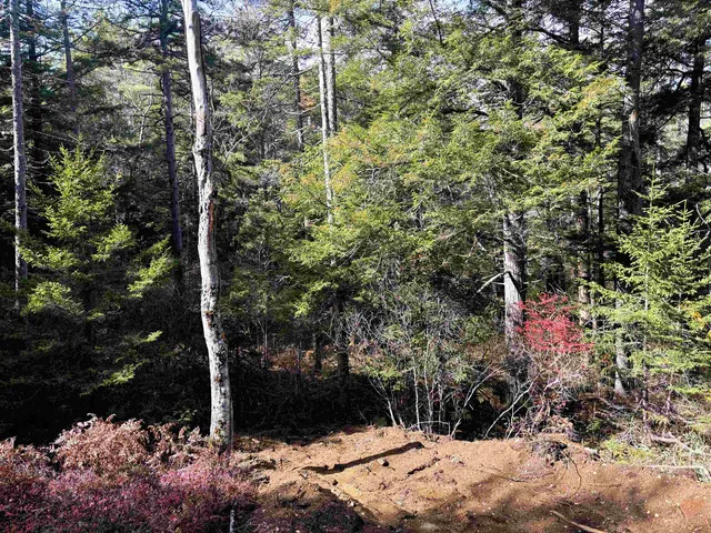 $545,000 | Lot 8 Stonebridge Road, Wilmot, NH 03287