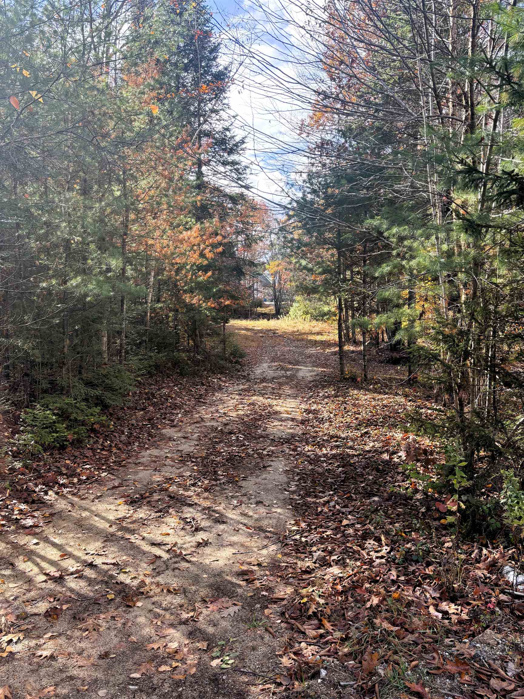 Lot 8 Stonebridge Road Wilmot, NH 03287 - Photo 7 of 31