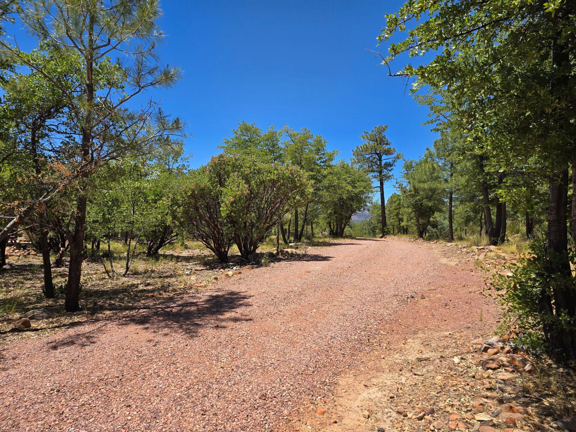 240 Rockinghorse Bend Road Payson, AZ 85541 - Photo 48 of 53 a view of road and trees