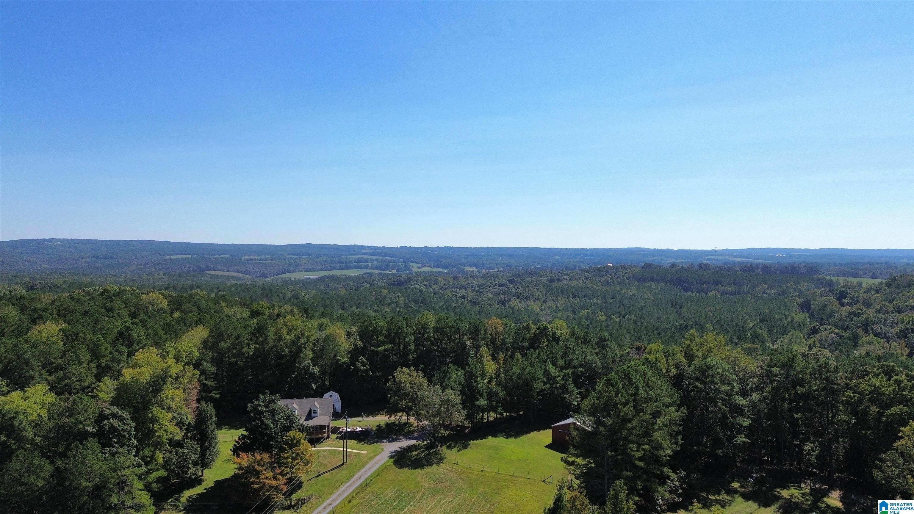 1292 Robin Hill Road Oneonta, AL 35121 - Photo 3 of 43