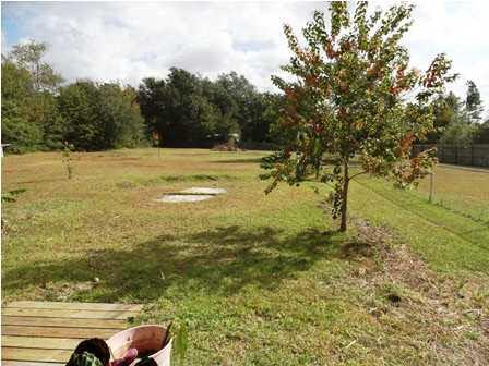 1950 Smyers Road Cantonment, FL 32533 - Photo 6 of 25 a view of a yard with an trees