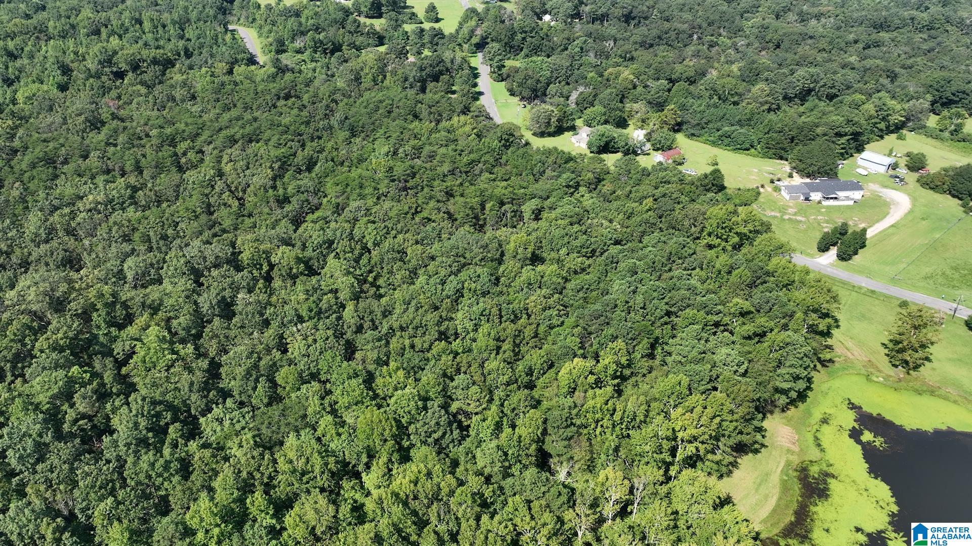 0 Cliff Springs Road, Unit 7 46 ACRES Gallant, AL 35972 - Photo 5 of 11