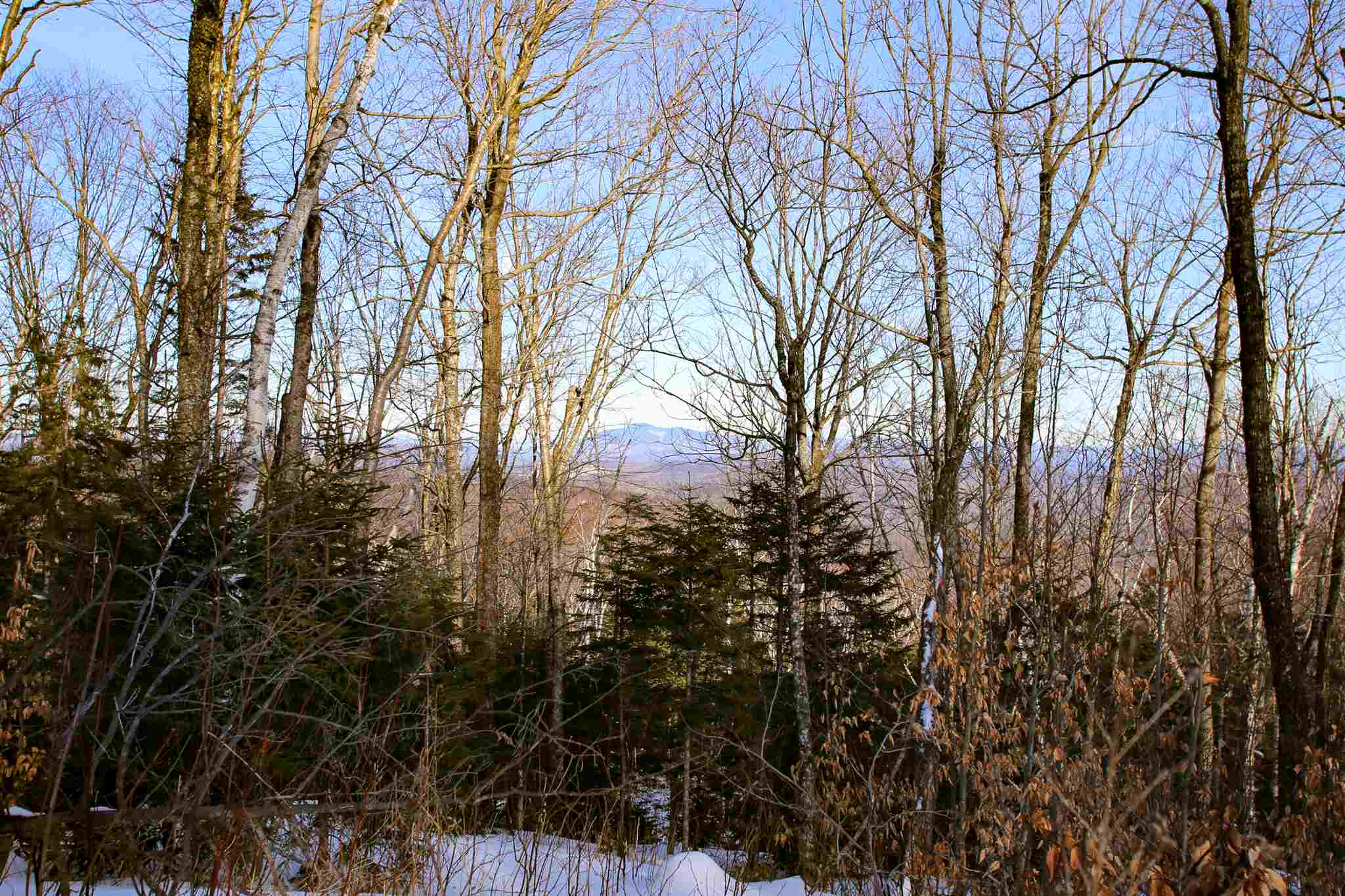322 Sears Road Andover, VT 05143 - Photo 2 of 40