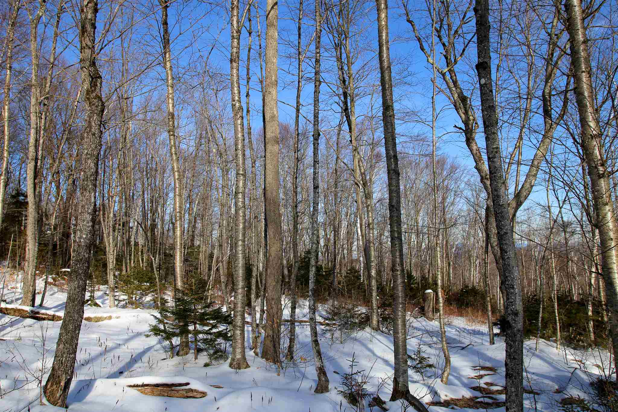 322 Sears Road Andover, VT 05143 - Photo 12 of 40
