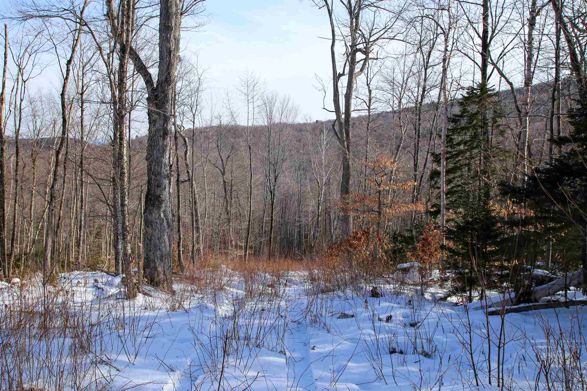 322 Sears Road Andover, VT 05143 - Photo 15 of 40