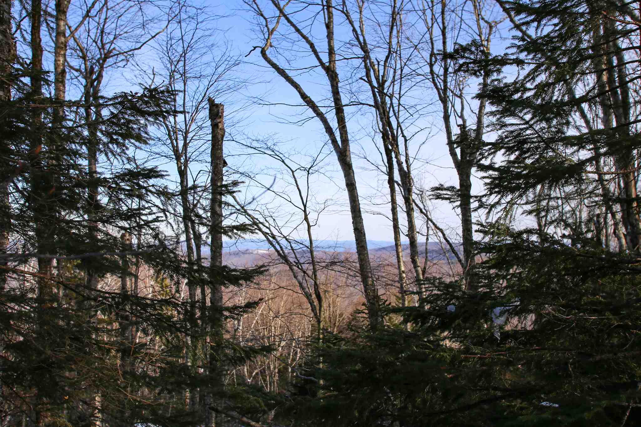 322 Sears Road Andover, VT 05143 - Photo 16 of 40