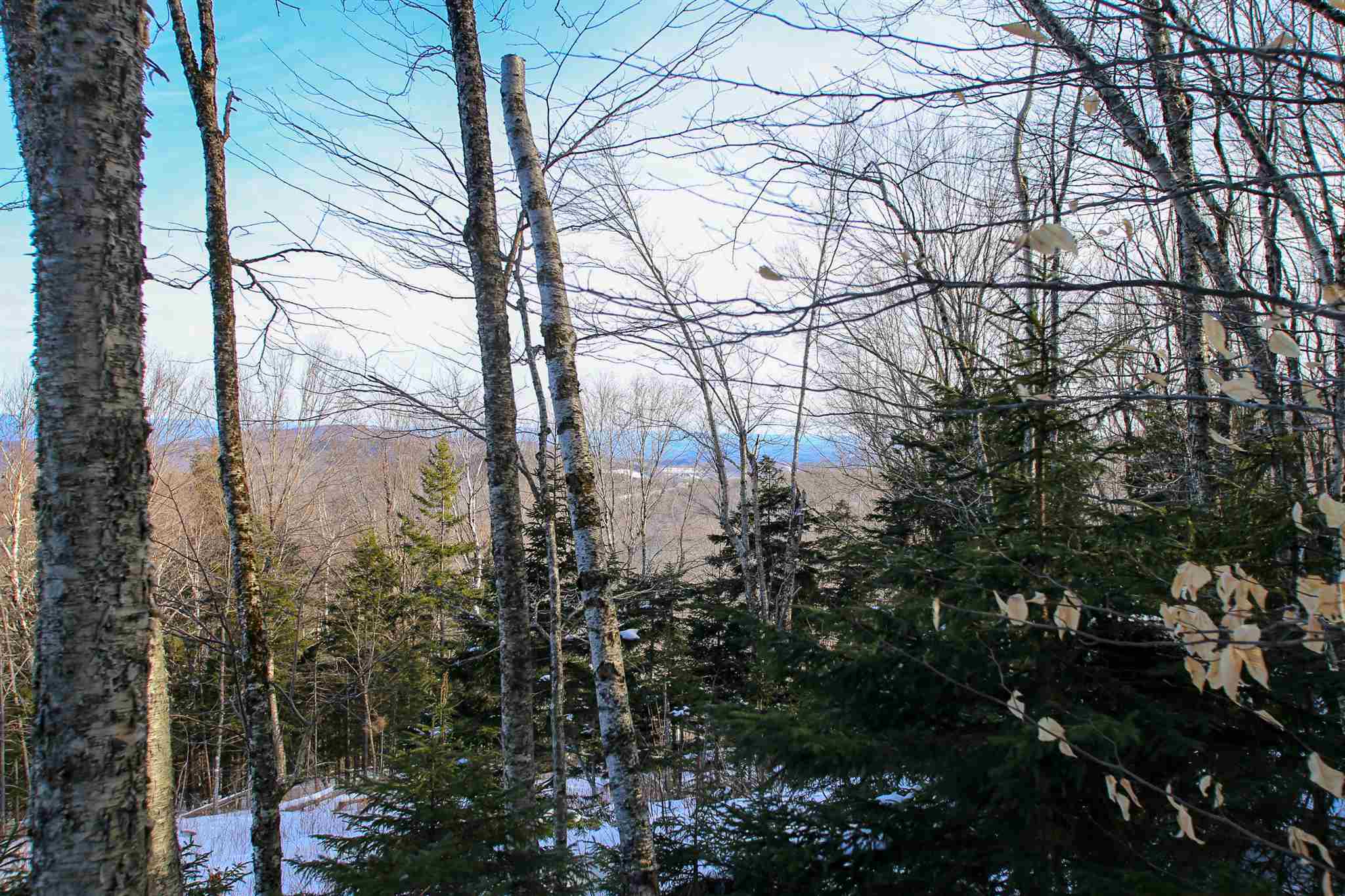 322 Sears Road Andover, VT 05143 - Photo 17 of 40
