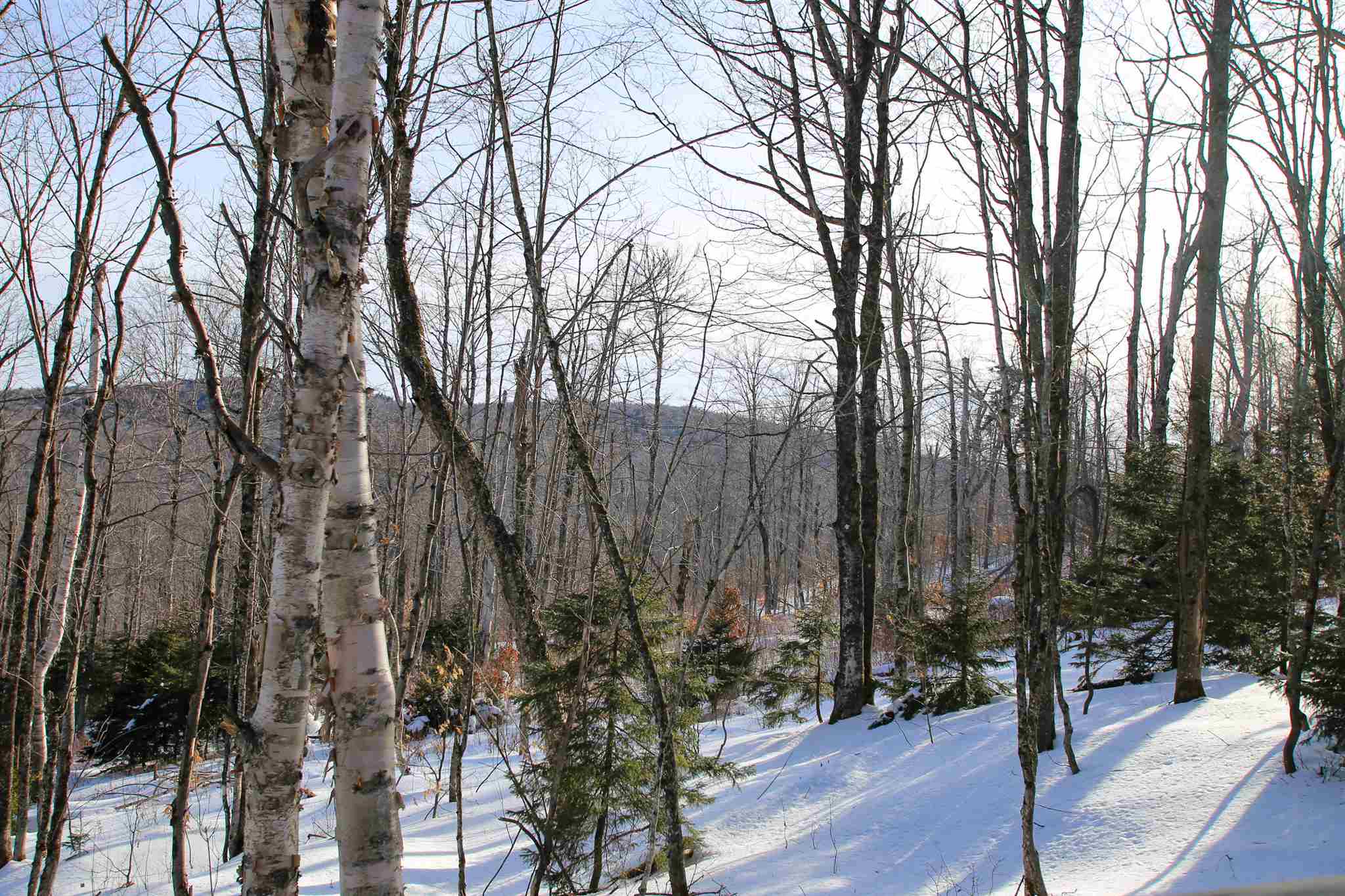 322 Sears Road Andover, VT 05143 - Photo 19 of 40