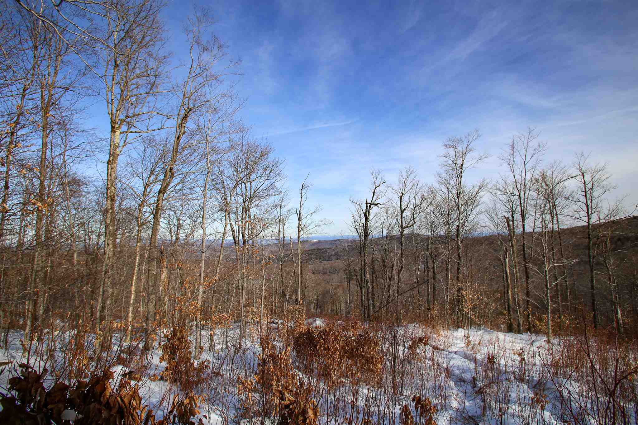 322 Sears Road Andover, VT 05143 - Photo 32 of 40