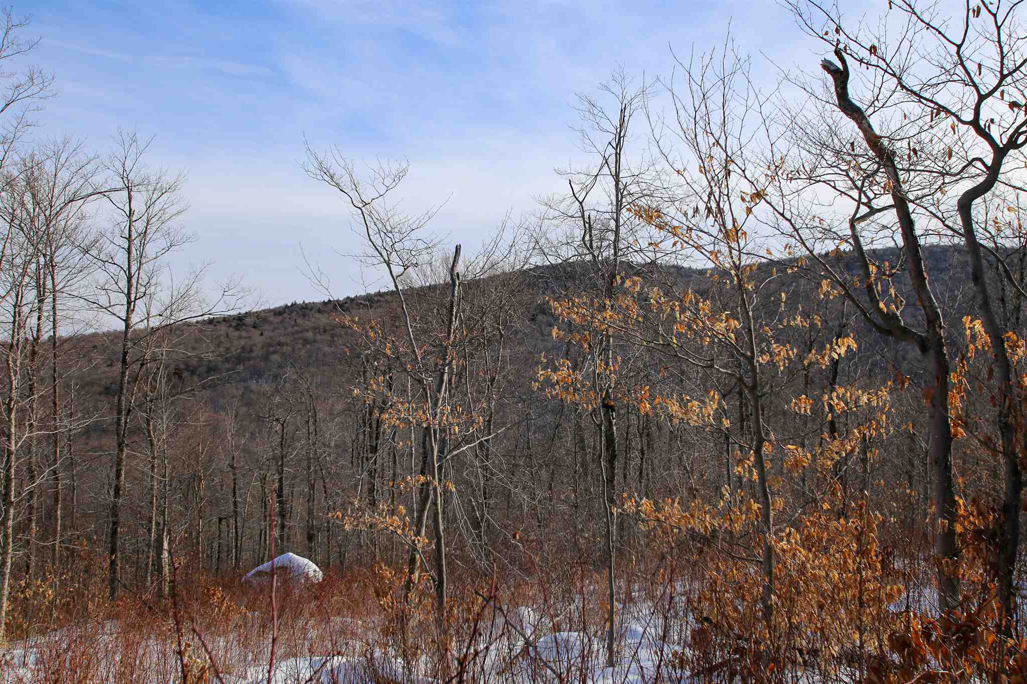 322 Sears Road Andover, VT 05143 - Photo 33 of 40