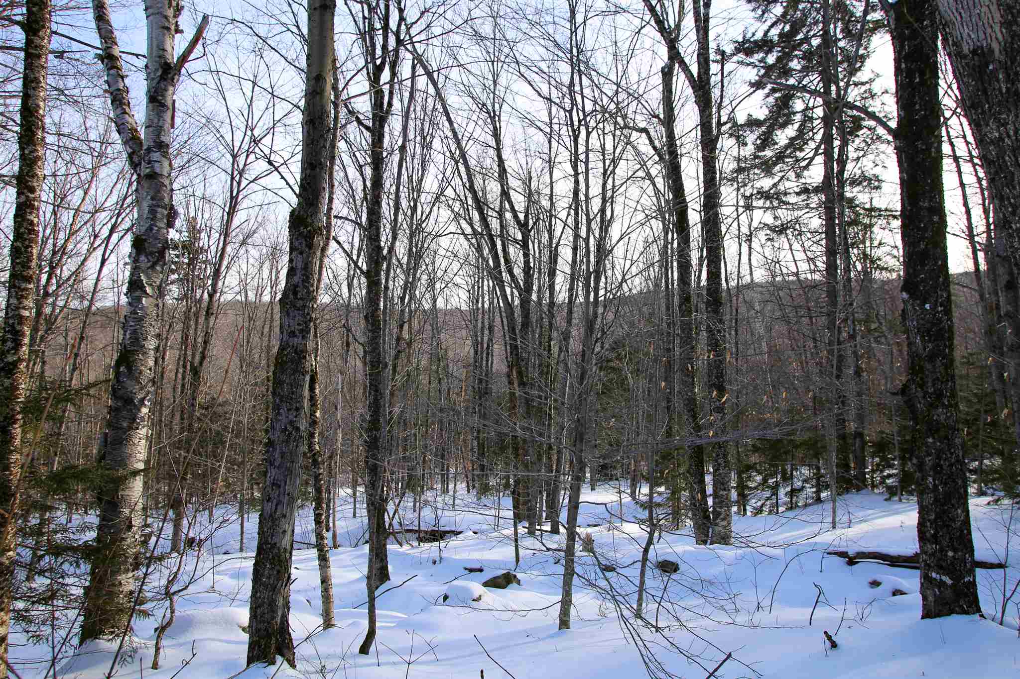 322 Sears Road Andover, VT 05143 - Photo 34 of 40