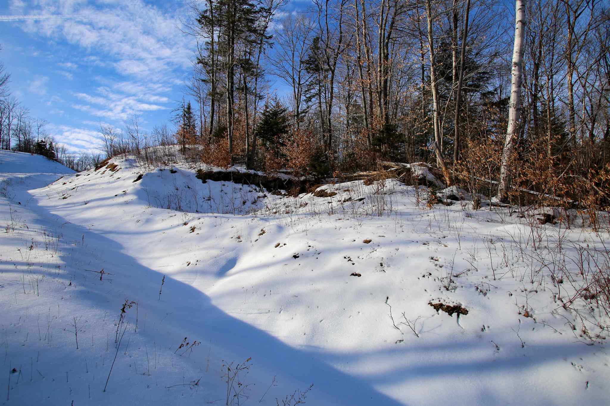 322 Sears Road Andover, VT 05143 - Photo 35 of 40