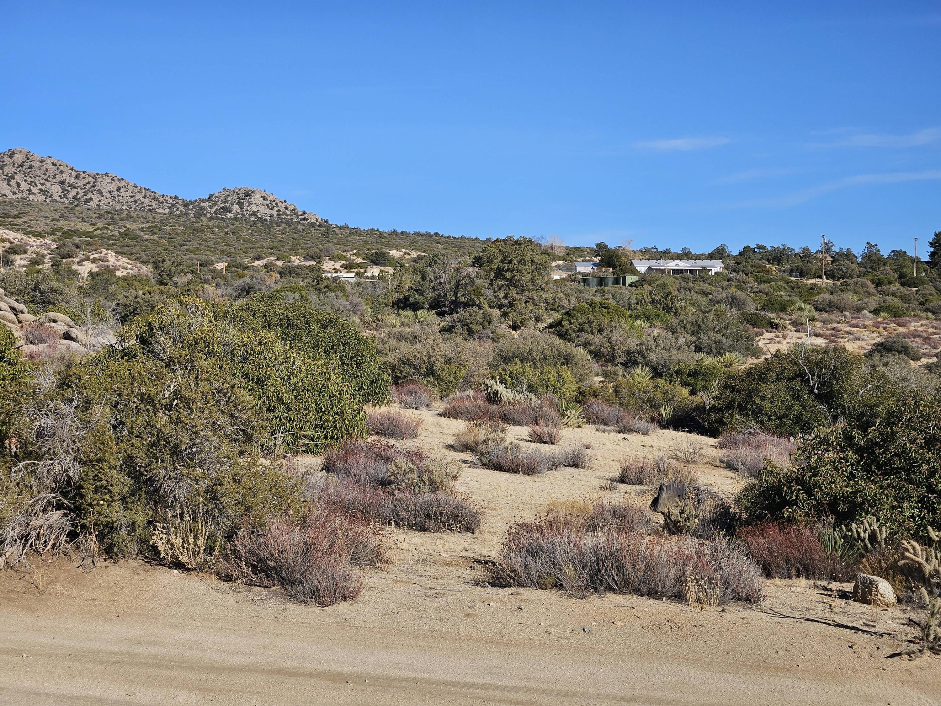 1 Casino Road Mountain Center, CA 92561 - Photo 9 of 9 20231214_140710