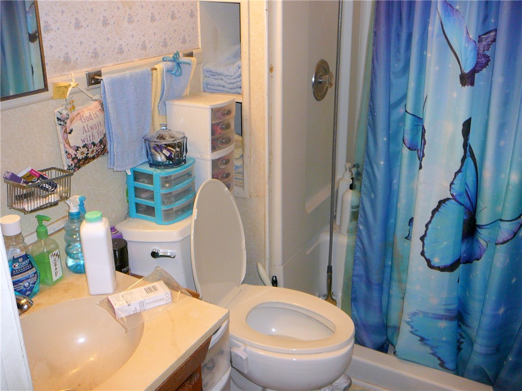 1430 Grady Hall Road Anderson, SC 29626 - Photo 14 of 14 A well-lit primary bathroom featuring a convenient shower-tub combination and functional countertop space.