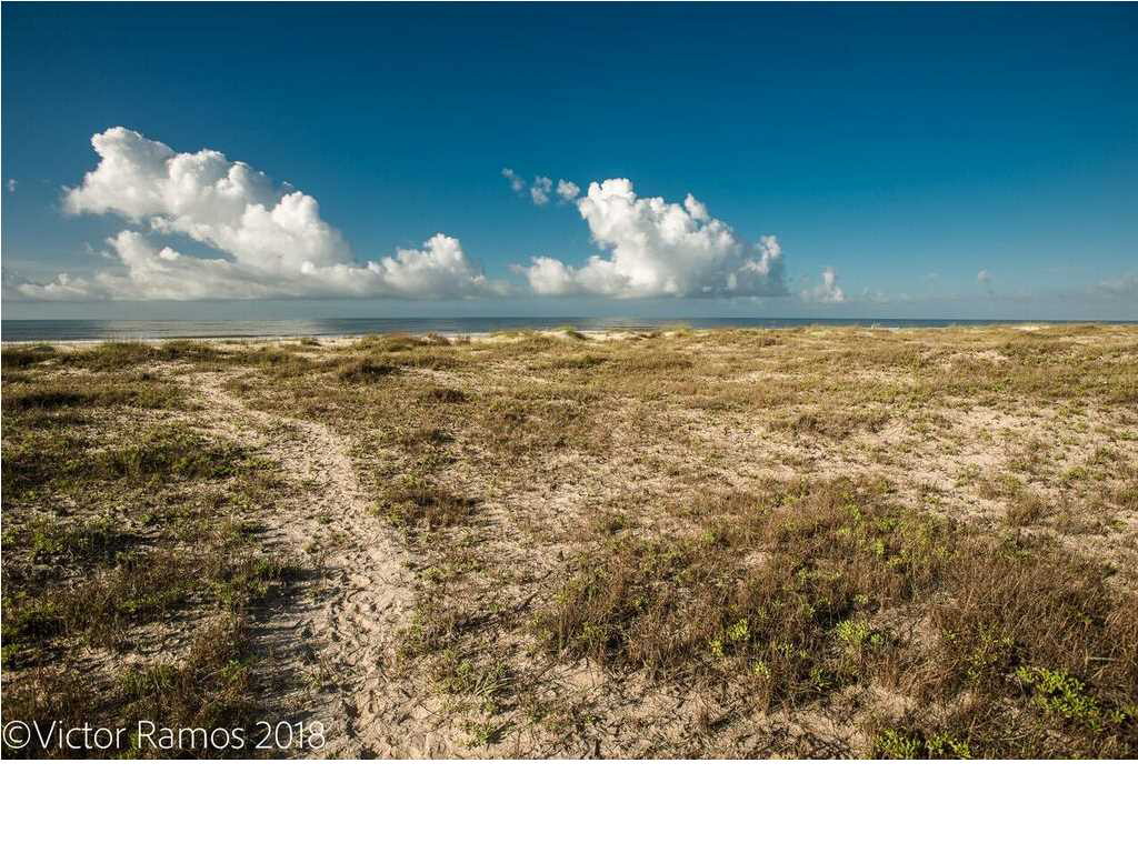 11 Curve Road Port St. Joe, FL 32456 - Photo 12 of 14