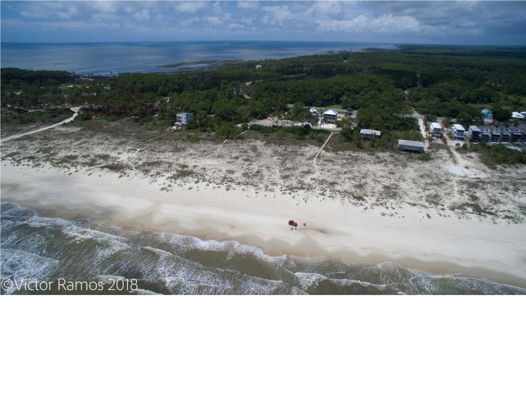 11 Curve Road Port St. Joe, FL 32456 - Photo 6 of 14
