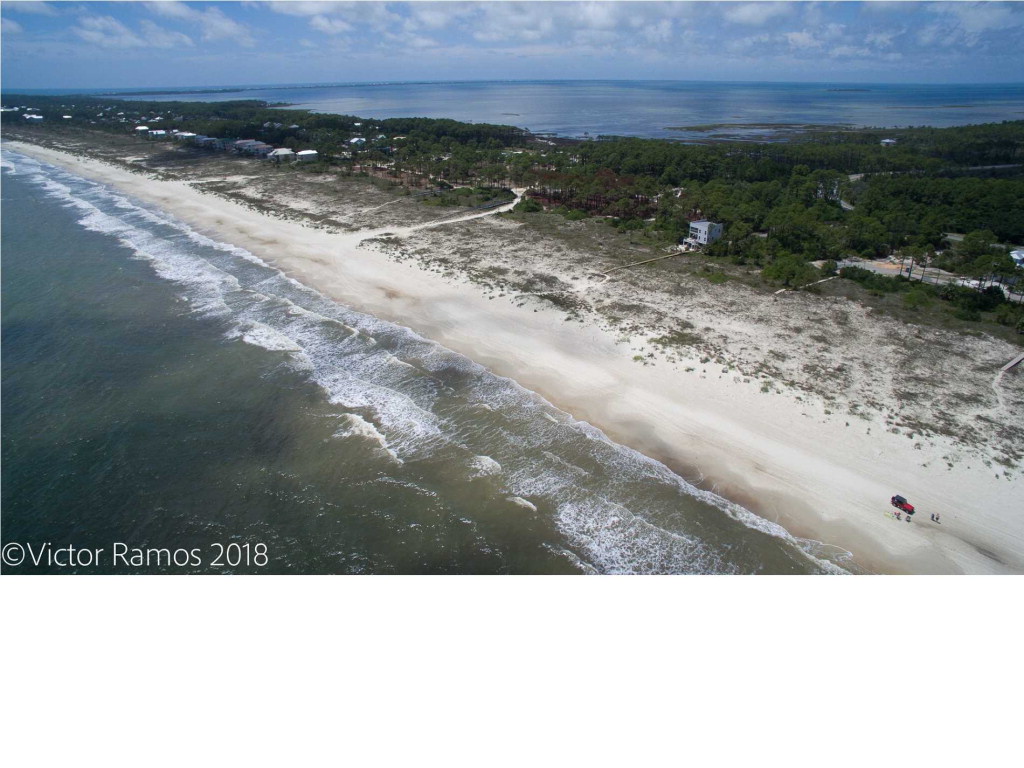 11 Curve Road Port St. Joe, FL 32456 - Photo 7 of 14