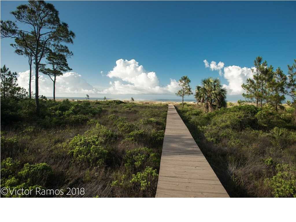 11 Curve Road Port St. Joe, FL 32456 - Photo 10 of 14