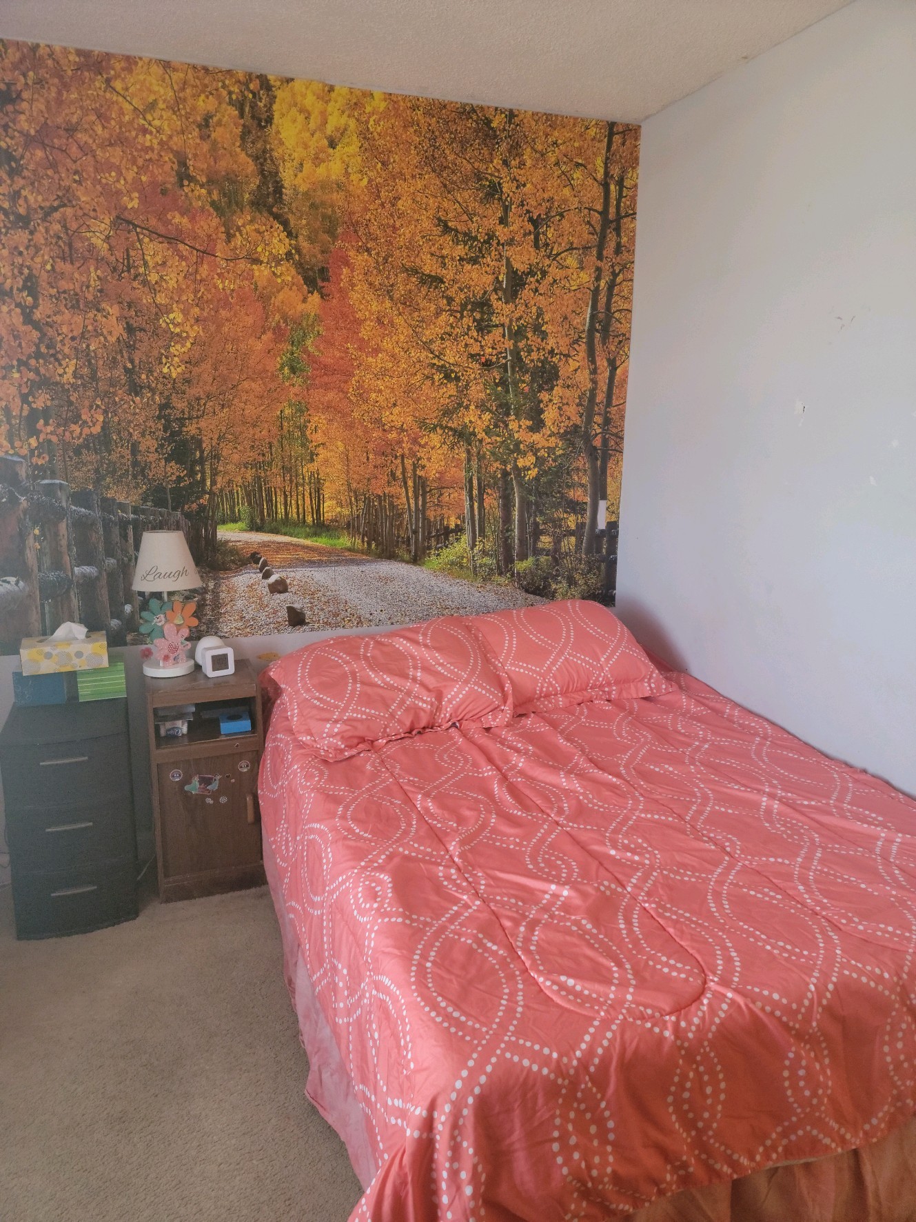 1108 Rural Hill Road Antioch, TN 37013 - Photo 3 of 4 a bed room with a bed