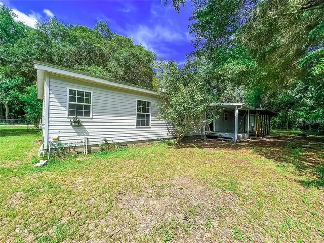 a backyard of a house with plants and large tree