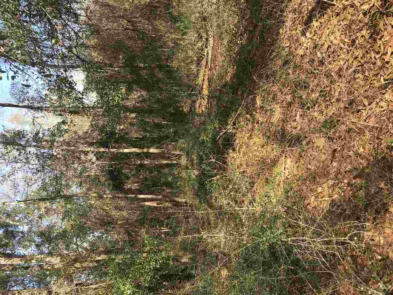 0 East County Road 32 Elberta, AL 36530 - Photo 2 of 2