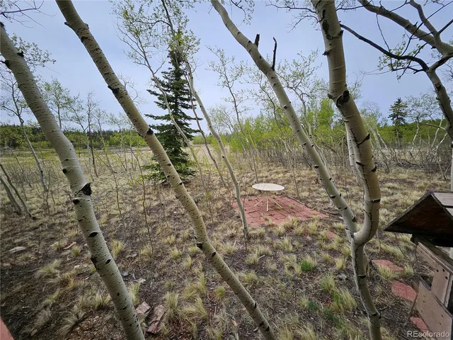a house with trees in front of it