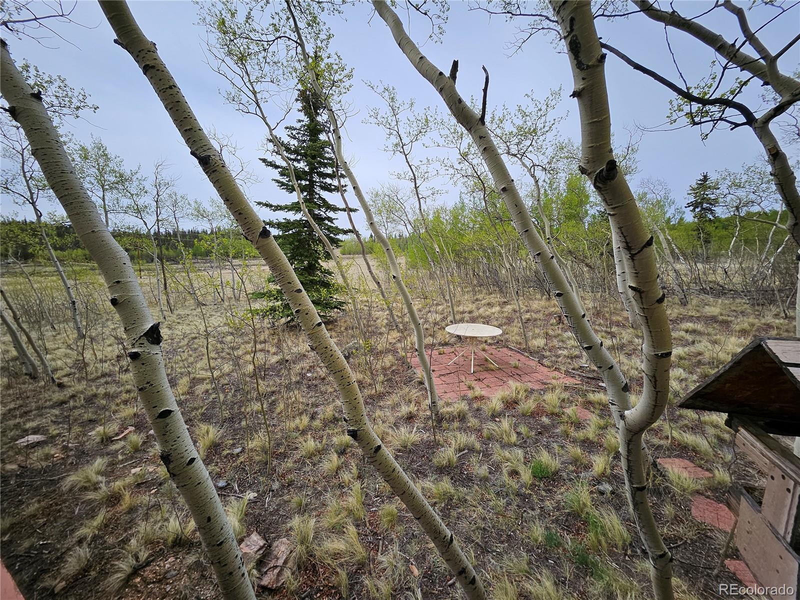 631 Arrowhead Drive Como, CO 80432 - Photo 42 of 45