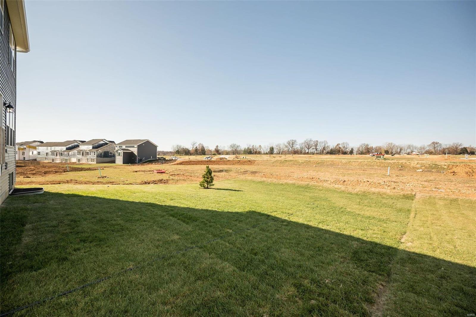 307 Dalriada Boulevard O'Fallon, MO 63368 - Photo 41 of 49