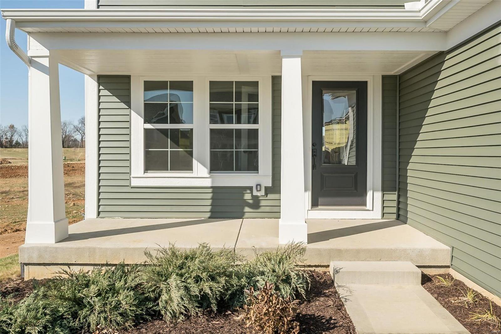 307 Dalriada Boulevard O'Fallon, MO 63368 - Photo 9 of 49