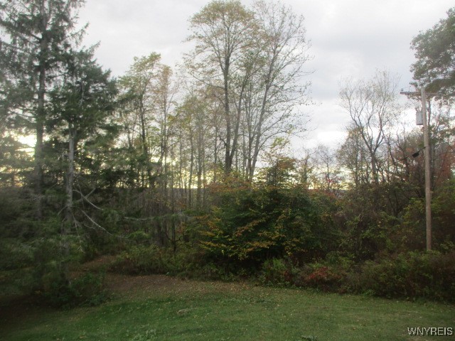3042 South Breeze Road Machias, NY 14042 - Photo 8 of 22