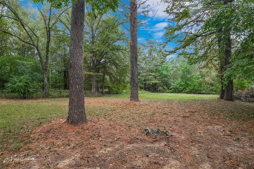 2912 Brookline Drive Shreveport, LA 71119 - Photo 27 of 27 a view of a yard with trees