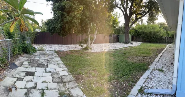 a view of a yard with plants