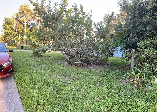 a view of a garden with large trees