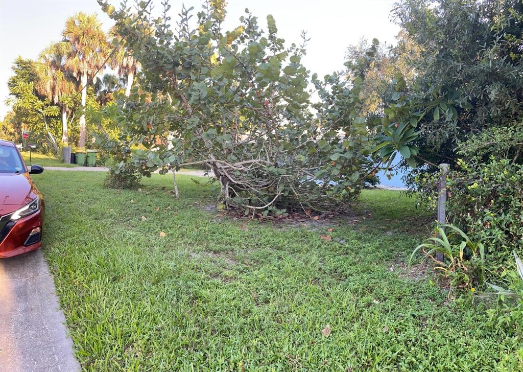 1176 40th Street Sarasota, FL 34234 - Photo 4 of 37 a view of a garden with large trees