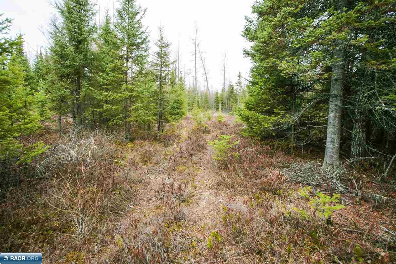 8839 Town Line Road Iron, MN 55751 - Photo 8 of 10